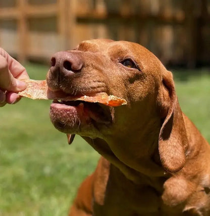 JO PRO DOG - Dried Chicken 100g