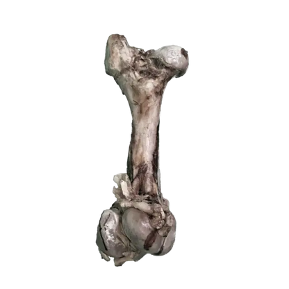 JO PRO DOG - Smoked Bone (M) - 1 PCS