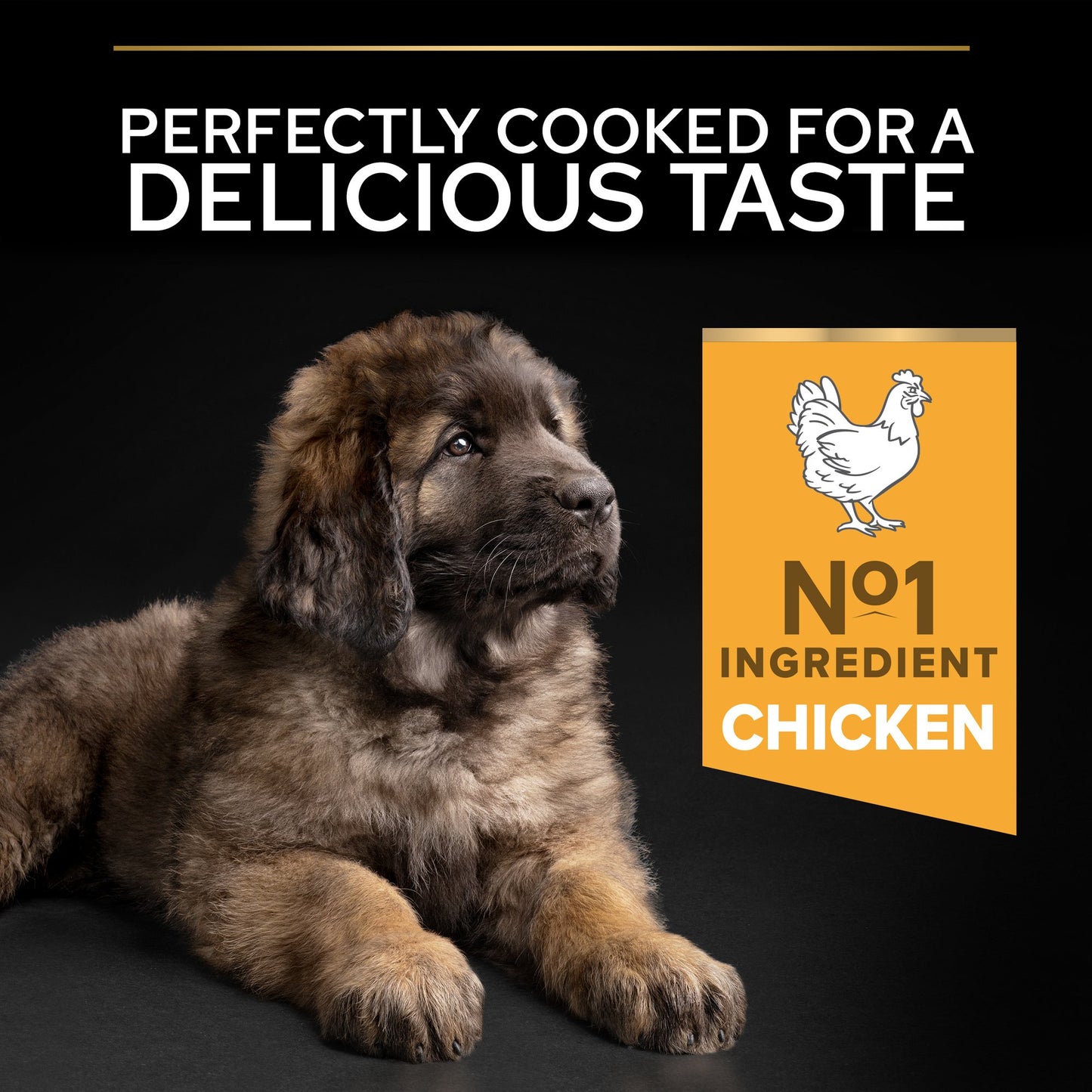 Pro Plan Healthy Start Large Robust Puppy, Dry Dog food with Chicken, 3 kg