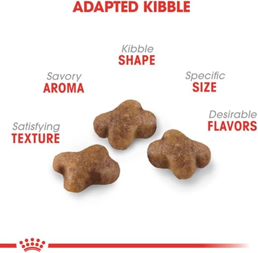 Royal Canin - FHN Kitten Dry Food 4kg