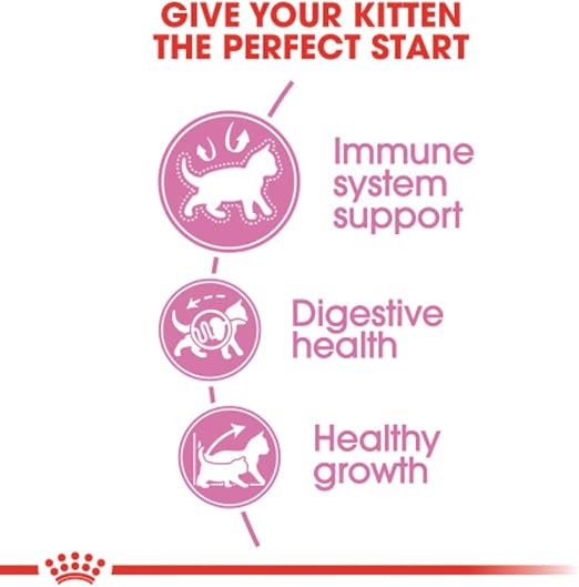 Royal Canin - FHN Kitten Dry Food 4kg