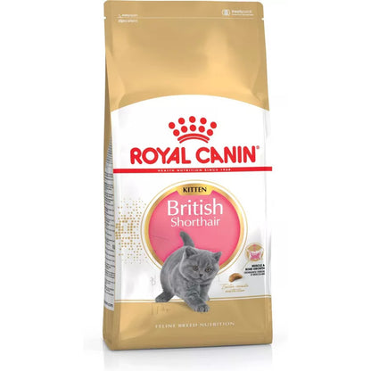 Royal Canin - British Shorthair Kitten Dry Food 2kg