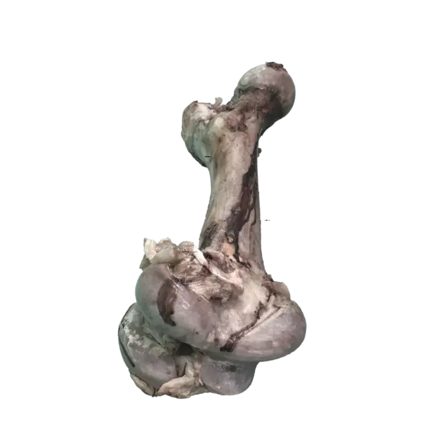 JO PRO DOG - Smoked Bone (M) - 1 PCS
