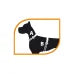 Daytona P Large Bird Harness - Black Premium Training Vest