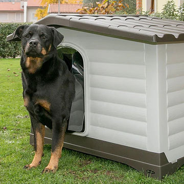 Dog standing outside a large plastic doghouse on grass