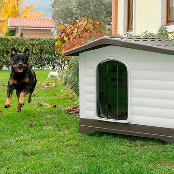 Dog running towards a large doghouse in a backyard with a house and trees in the background.