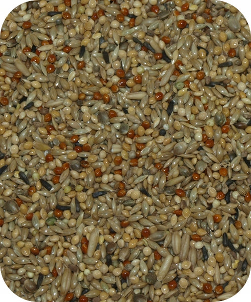 Deli Nature Premium Budgie Food 20kg - LUTOF SUPERCHAMP Jordan