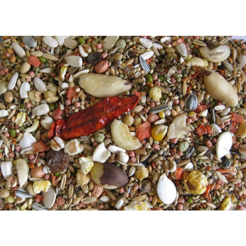 Assorted bird seed mix with various seeds and nuts on a white background