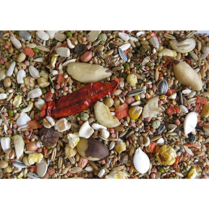 Assorted bird seed mix with various seeds and nuts on a white background
