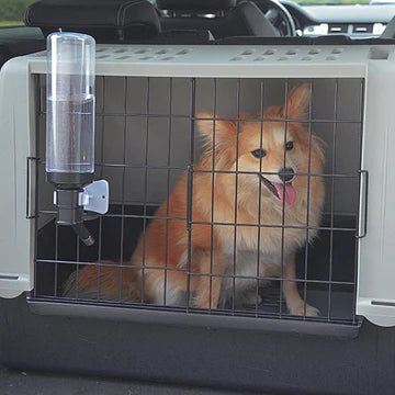 Dog inside a pet crate with a water dispenser in a car