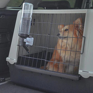Dog inside a pet carrier in a vehicle