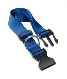 Blue dog collar with black buckle on a white background