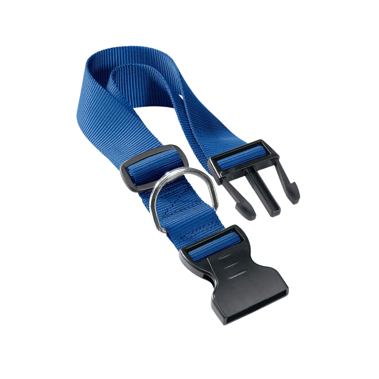 Blue dog collar with black hardware on a white background