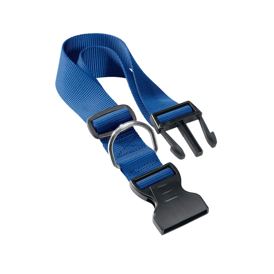 Blue dog collar with black hardware on a white background