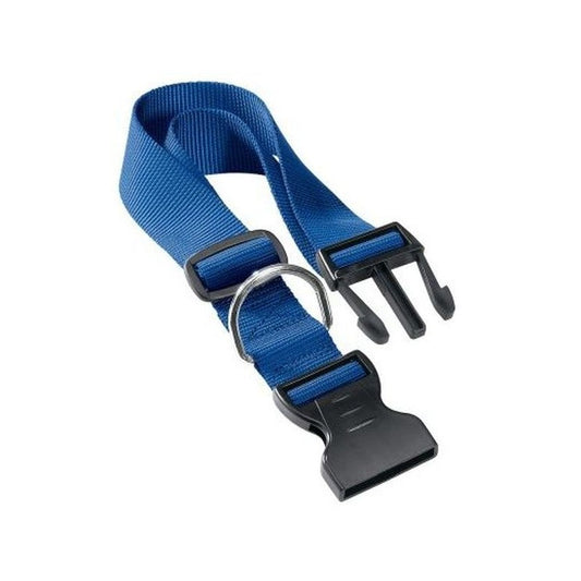 Blue dog collar with black buckle on a white background