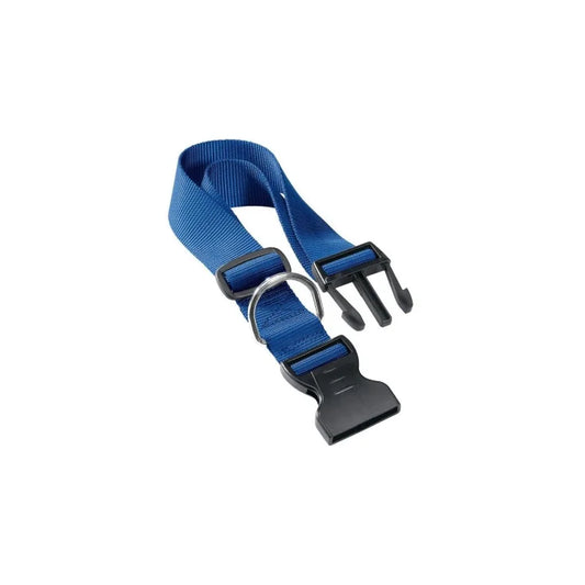 Blue dog collar with black buckle on a white background