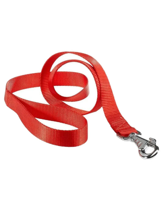 Red dog leash with a silver clasp on a white background