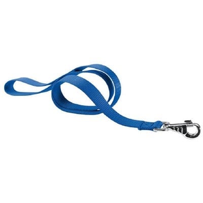 Blue dog leash with a metal clip on a white background
