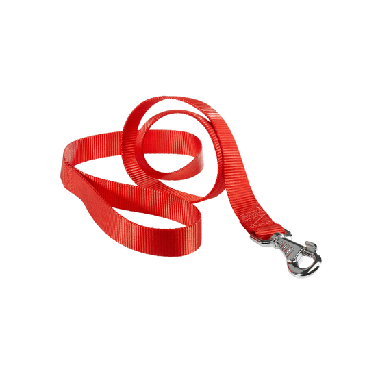 Red dog leash with a silver clasp on a white background