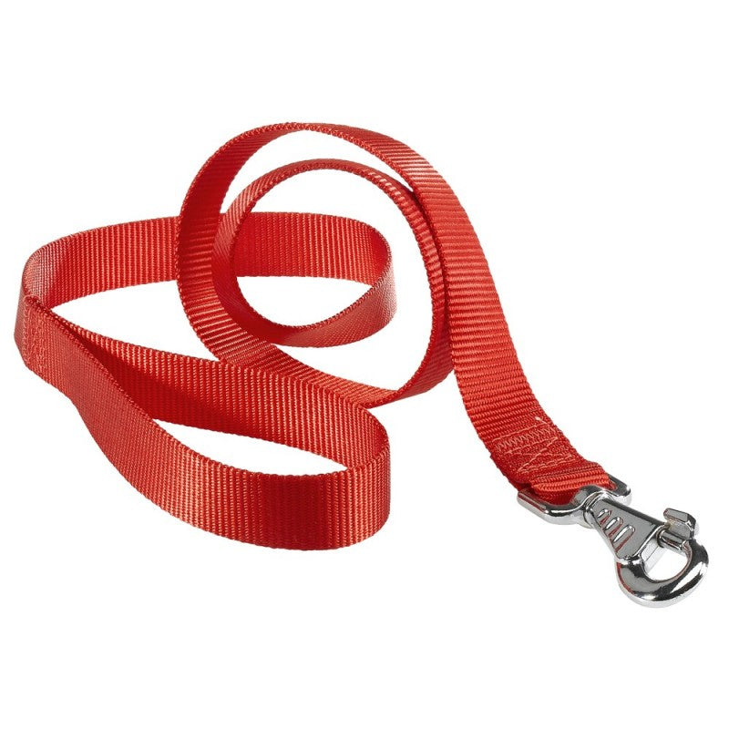 Red dog leash with a silver clasp on a white background