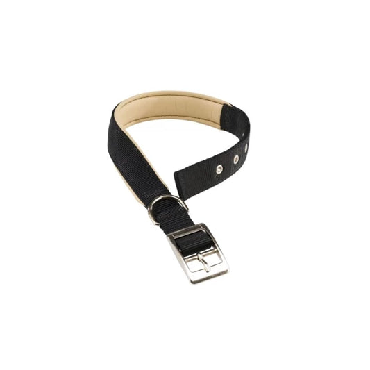 Black dog collar with a silver buckle on a white background