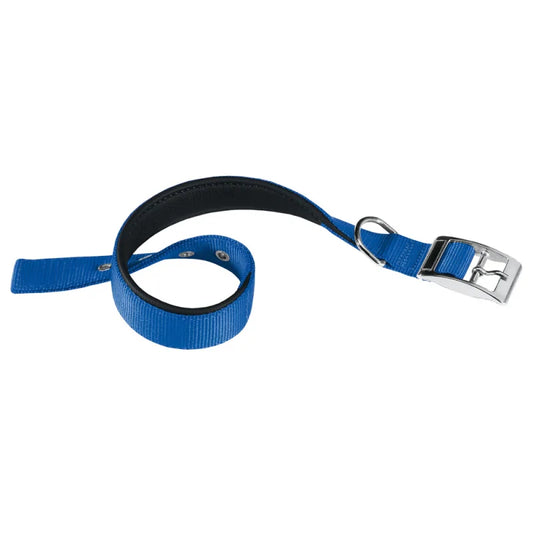 Blue dog leash with a silver buckle on a white background