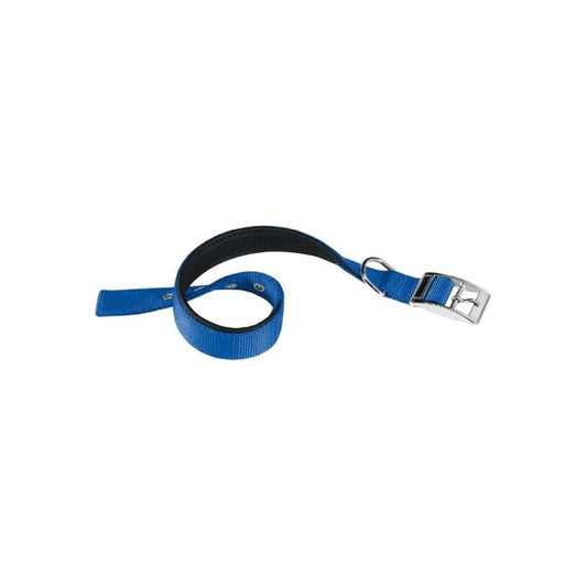 Blue and black dog leash with a silver buckle on a white background
