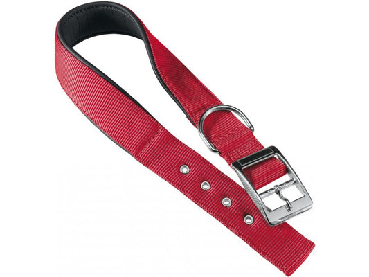 Red dog collar with a silver buckle on a white background