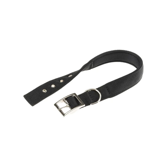 Black belt with silver buckle on a white background