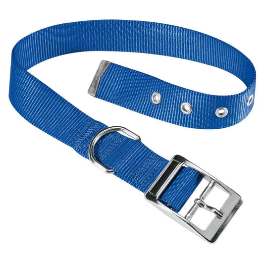 Blue dog collar with a silver buckle on a white background