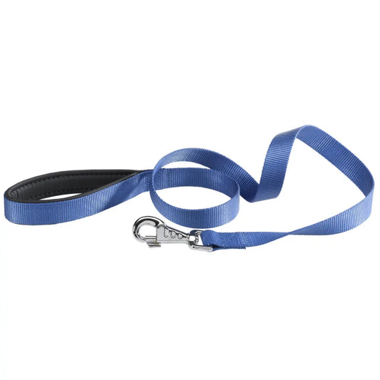 Blue dog leash with a silver clip on a white background