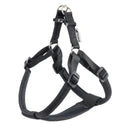 Black dog harness on a white background