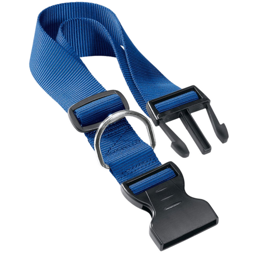 Blue belt with black and silver buckles on a white background
