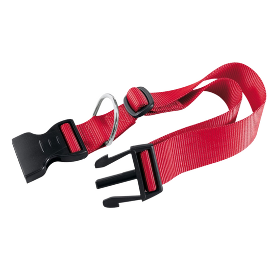 Red dog collar with black buckles on a white background