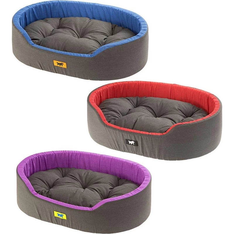 Three gray pet beds with colorful rims on a white background