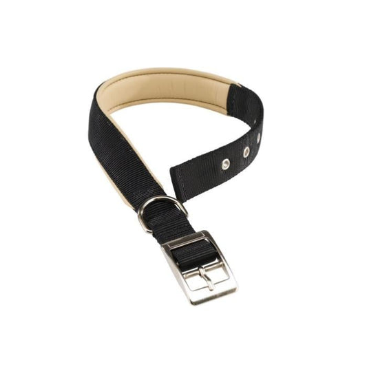 Black dog collar with a metal buckle on a white background
