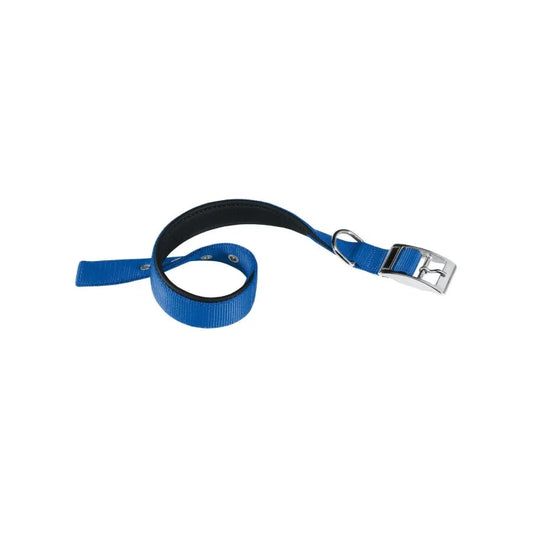 Blue dog leash with black handle on a white background