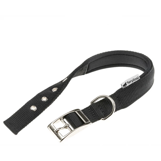 Black dog collar with silver buckle on a white background