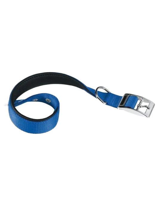 Blue and black dog collar with a metal buckle on a white background