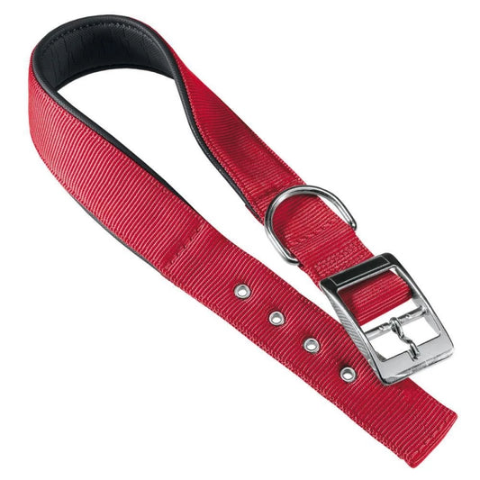 Red dog collar with a silver buckle on a white background