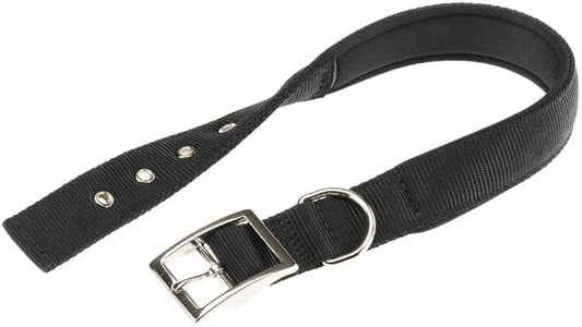 Black dog collar with silver buckle on a white background