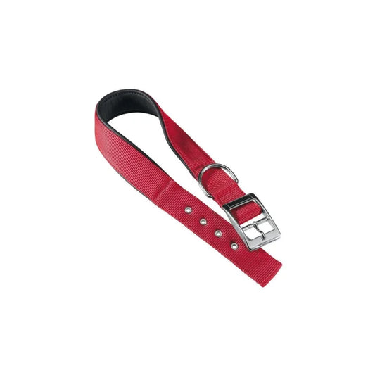 Red dog collar with a silver buckle on a white background