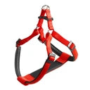 Red and gray dog harness on a white background