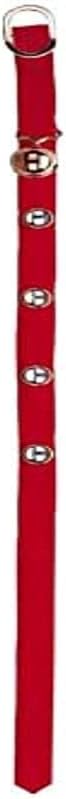 Red belt with silver buckles on a plain background