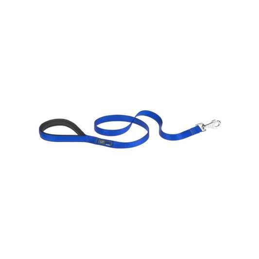 Blue dog leash with a metal clip on a white background