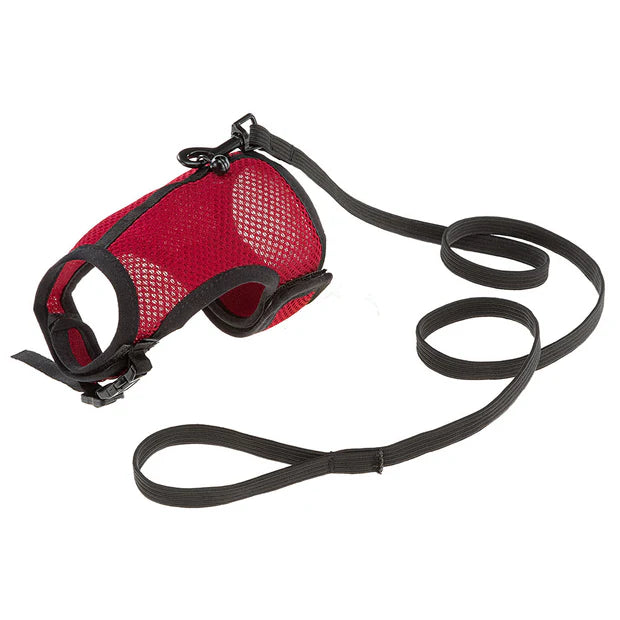 Red dog harness with black leash on a white background