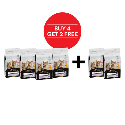 Pro Plan Kitten Healthy Start Dry Cat Food with Chicken-Bundle Offer