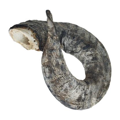 Doggy Bites - Lamb Horn Medium