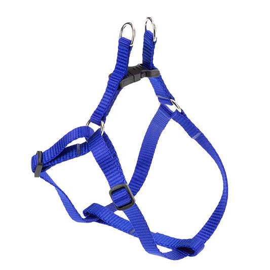 Blue dog harness on a white background