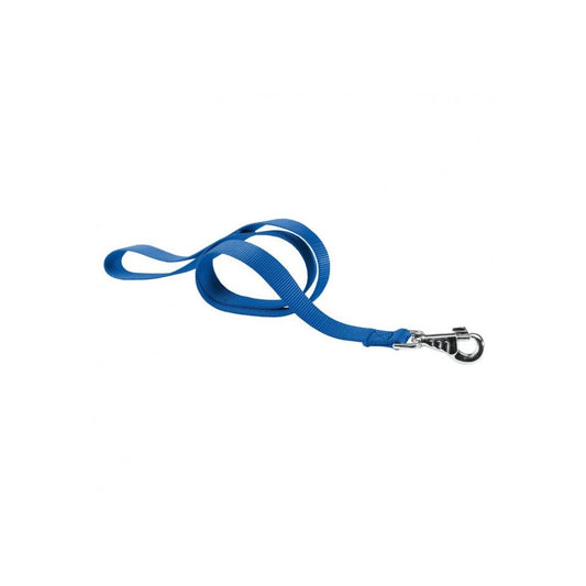 Blue dog leash with a clip on a white background